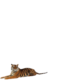 Back Accessory tiger.png